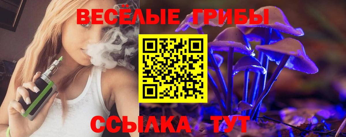 купить наркотик  Псилоцибиновые грибы Psilocybe  Вход с VPN  Татарск 